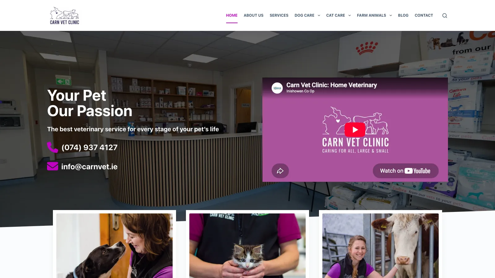 Carn Vet Clinic website